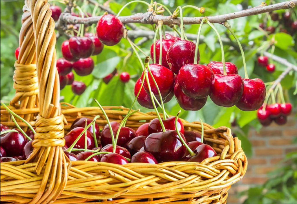 Surpriză mare de la meteo pentru luna iunie. Ce se întâmplă cu vremea la început de vară