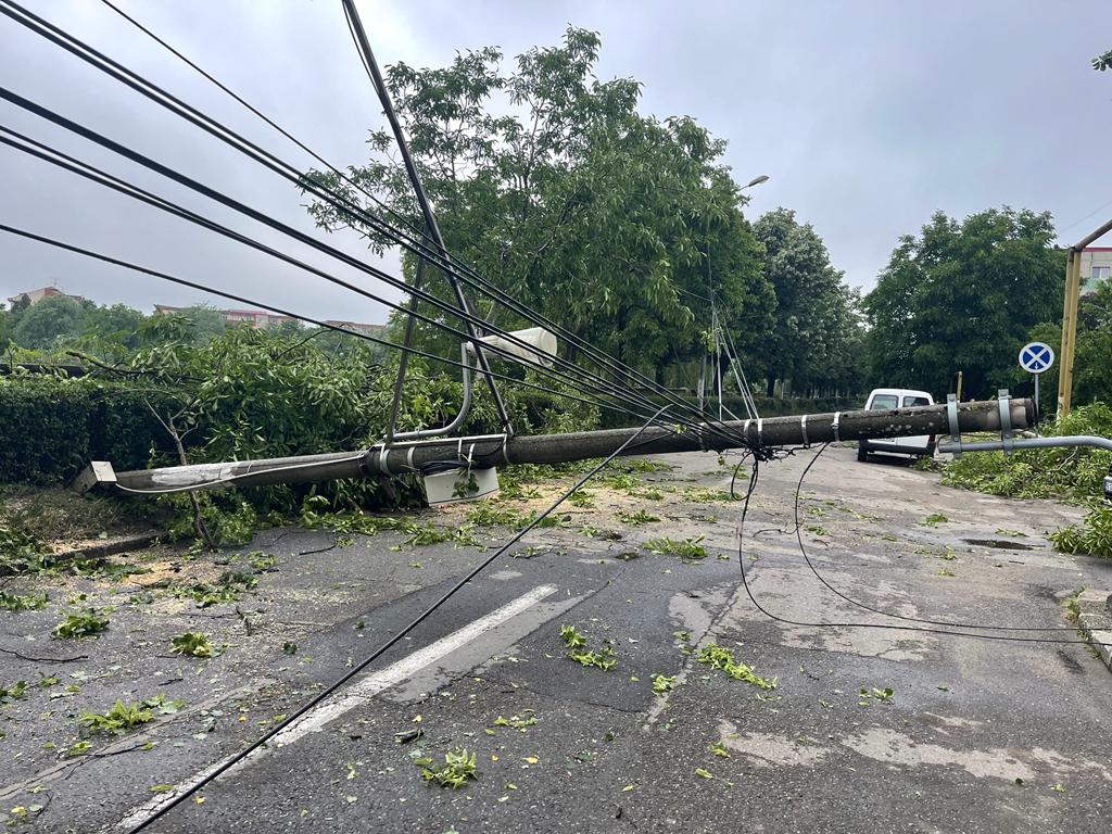Un copac a căzut peste două fetițe
