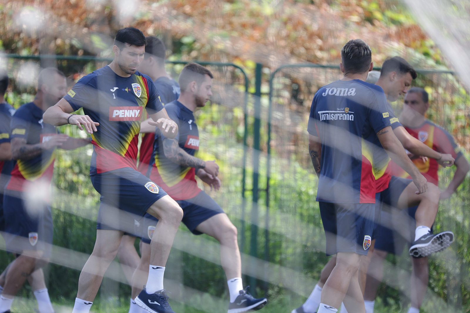 Galerie foto - Poza #2