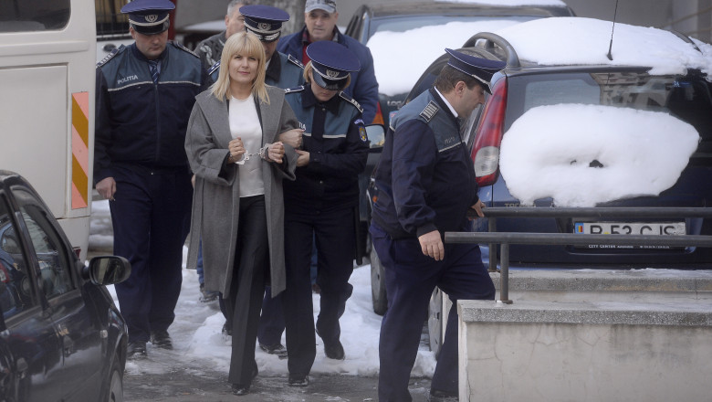 Elena Udrea este aparata de o armata de avocati