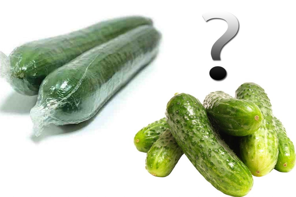 Motivul banal pentru care castraveții lungi se vând înfoliați, iar cei de grădină nu. Nu te-ai fi gândit niciodată la asta