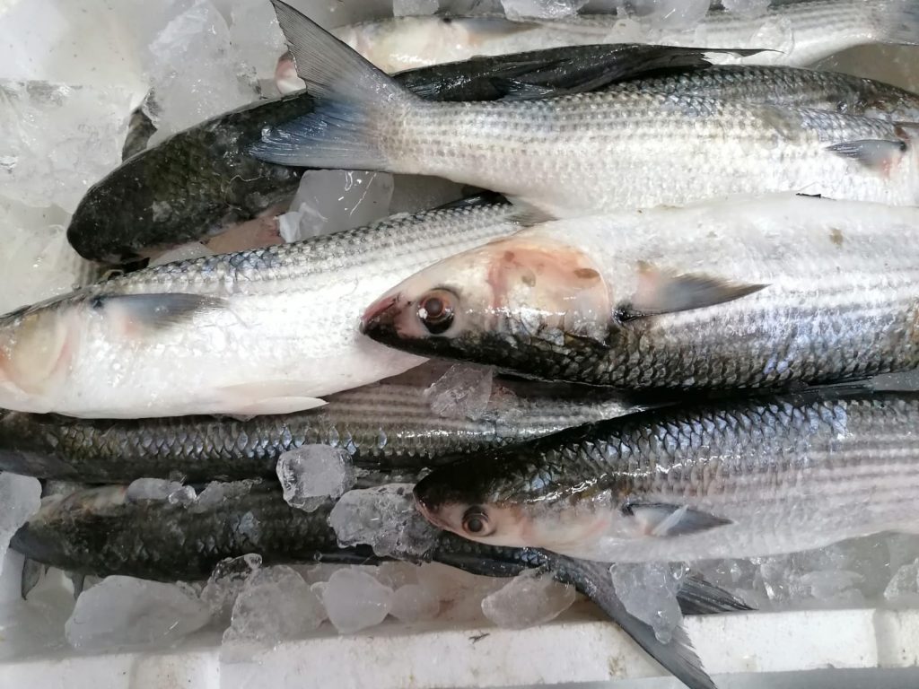 Pericol pe litoral. Inspectorii ANPC au găsit sute de kilograme de peşte şi fructe de mare depozitate în căldură