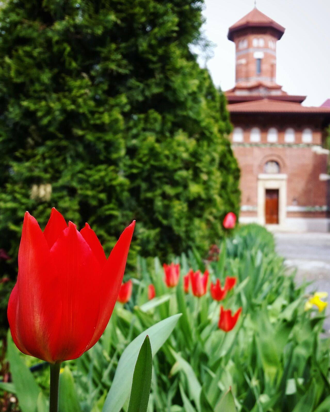 Galerie foto - Poza #3