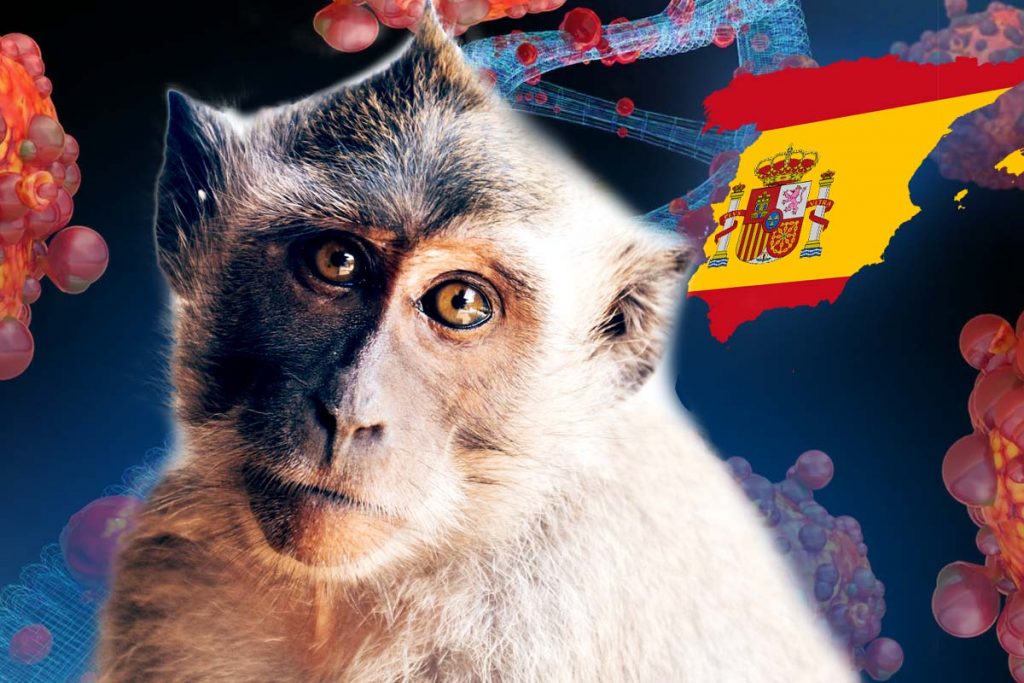 A fost confirmat primul deces cauzat de variola maimuţei în Europa. Pacientul locuia în Spania