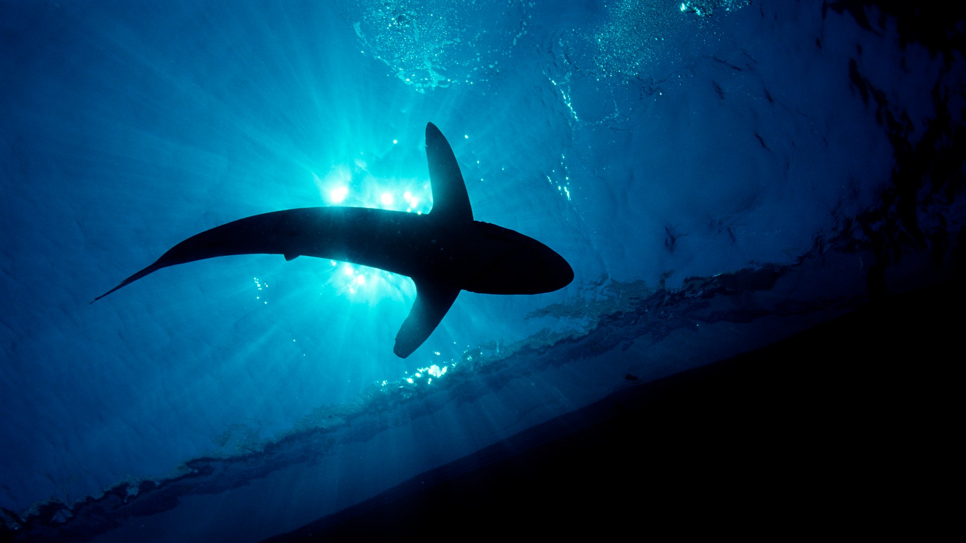 Cea mai periculoasa statiune din Egipt