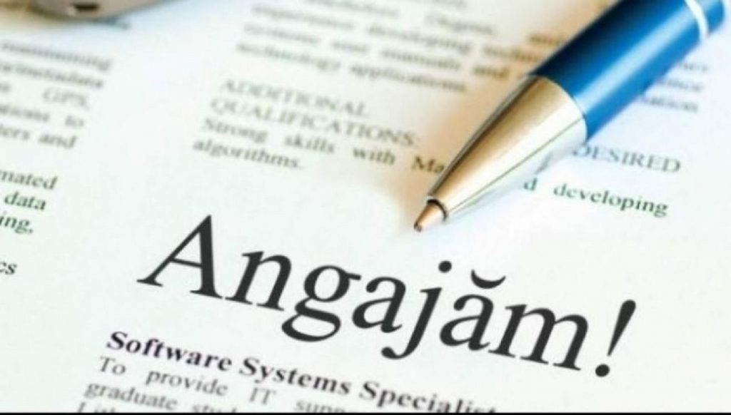 Domeniul în care nu se găsesc specialişti. Se fac angajări, dar nu vine nimeni