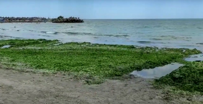 Galerie foto - Poza #2