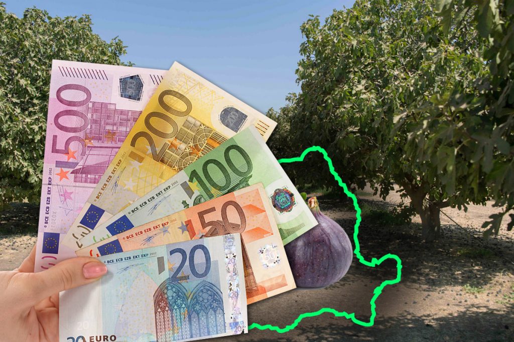 Locurile tropicale care încep să apară în România. Oamenii vor să scoată bani de pe urma lor