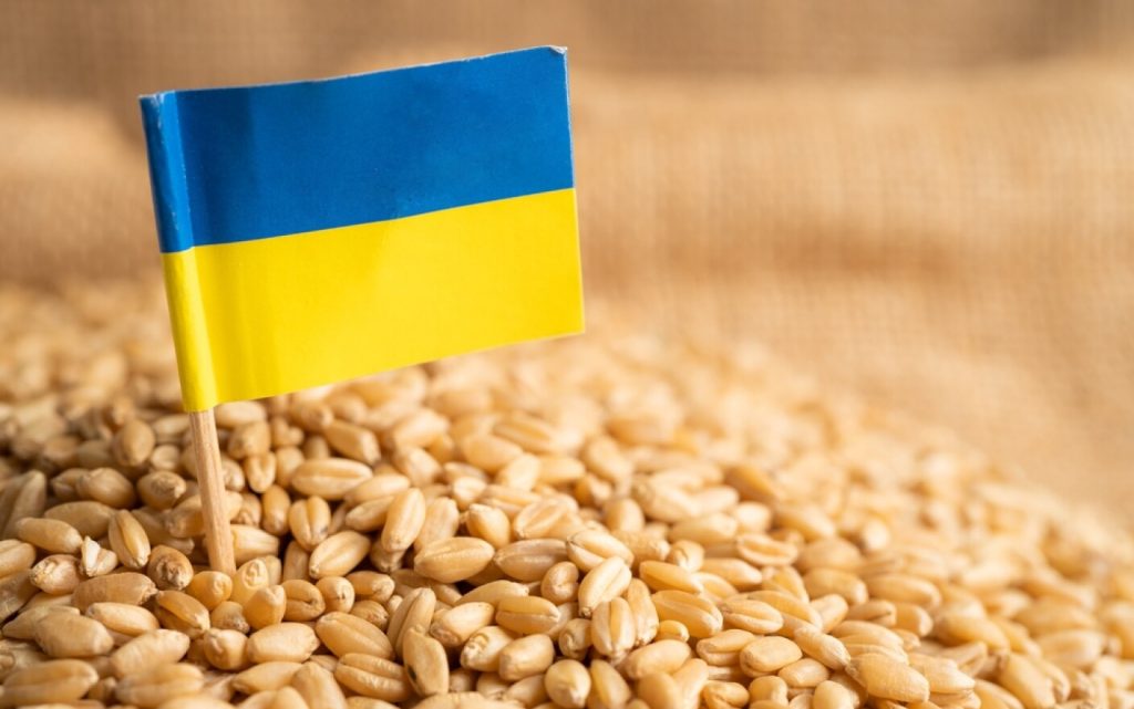 Agricultorii nemulțumiți de concurența pe care o creează piața din Ucraina. Specialist: „Este percepția pe care o au ei și care este eronată”