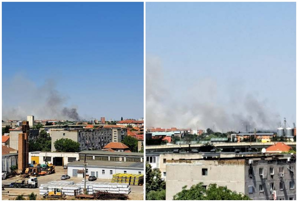 Incendii puternice de vegetatie in Timisoara si in Iasi