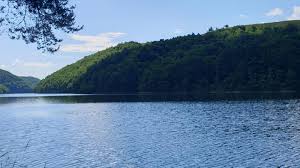 Galerie foto - Poza #1