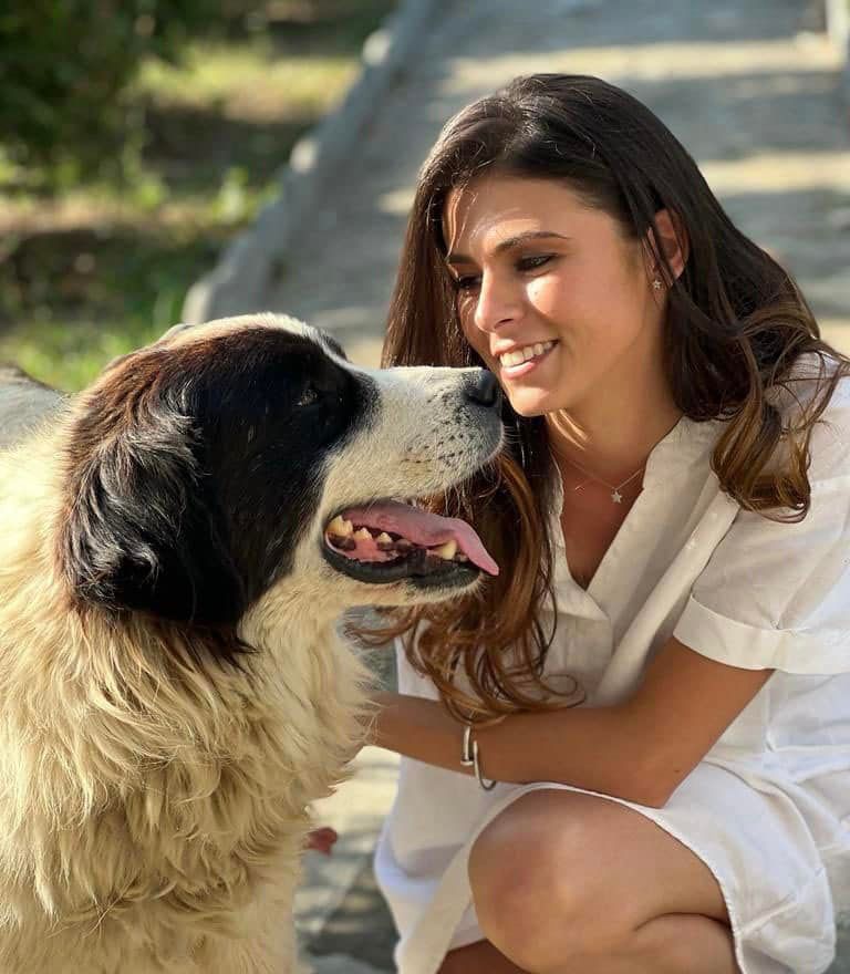 Galerie foto - Poza #2