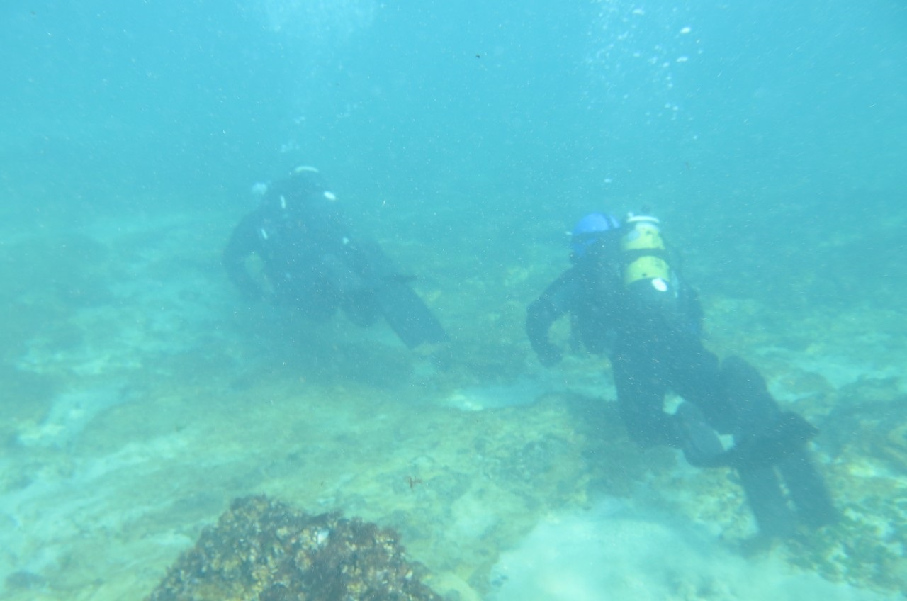 Activitatea inedita, la mare cautare pe litoralul Marii Negre