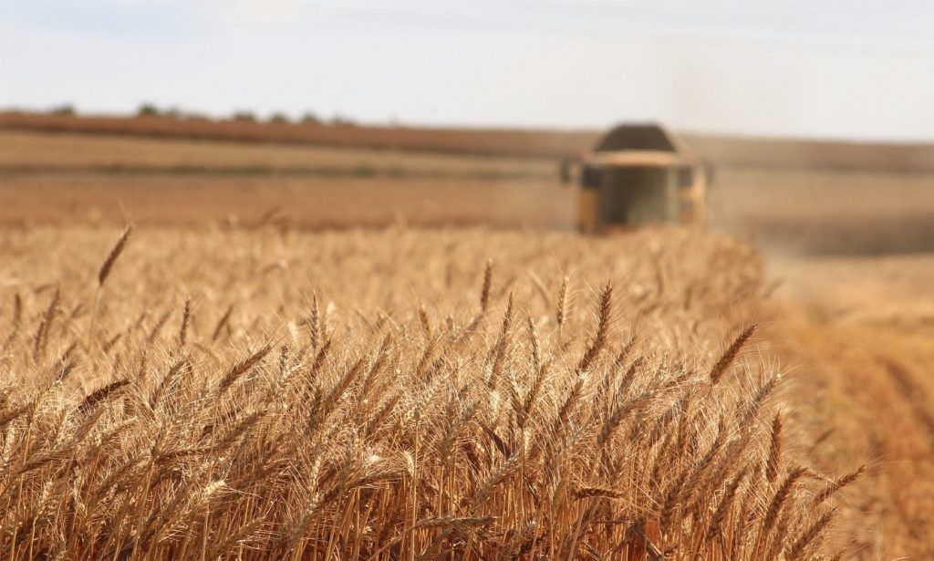Invadați de Rusia, cuceriți de China. Cum s-a ajuns ca o mare parte din terenul agricol al Ucrainei să nu-i mai aparțină