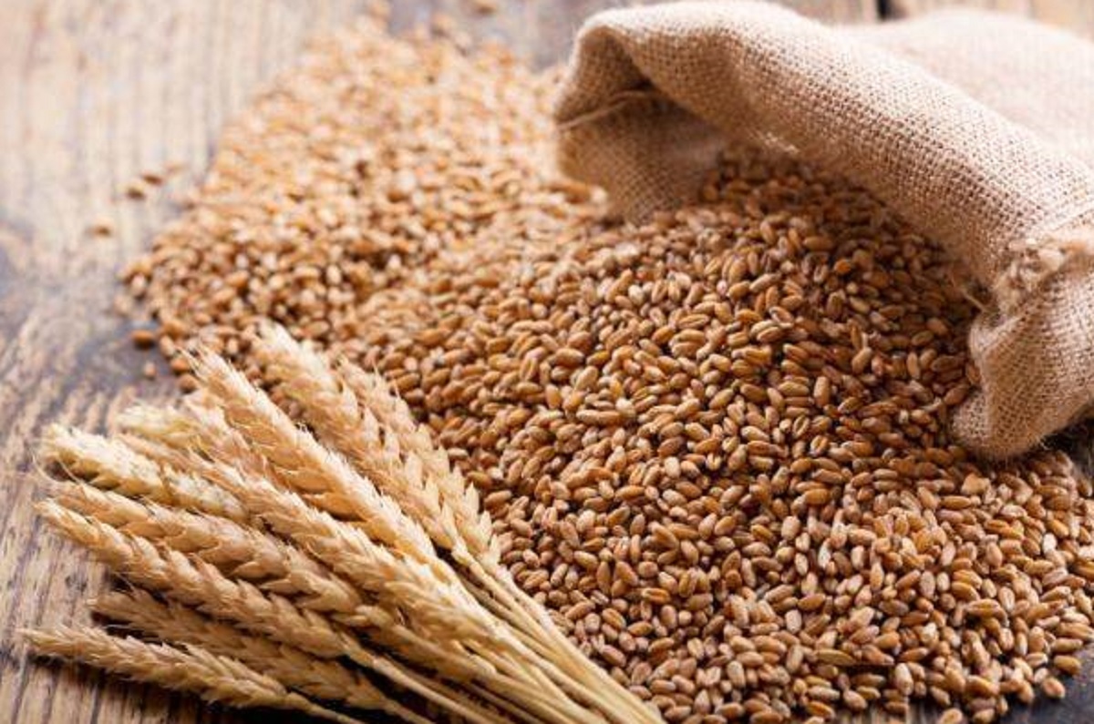 Invadați de Rusia, cuceriți de China. Cum s-a ajuns ca o mare parte din terenul agricol al Ucrainei să nu-i mai aparțină