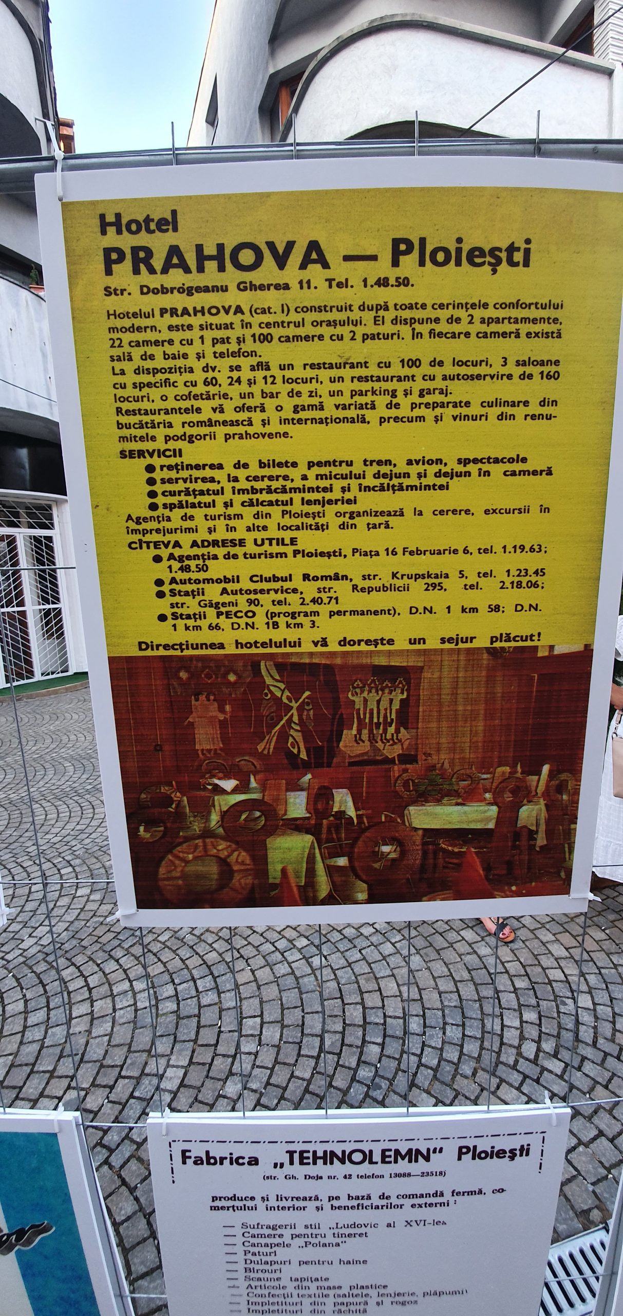 Galerie foto - Poza #2