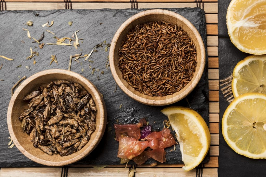 Țara care vrea să introducă în alimentație proteine extrase din insecte. România i-ar putea urma exemplul