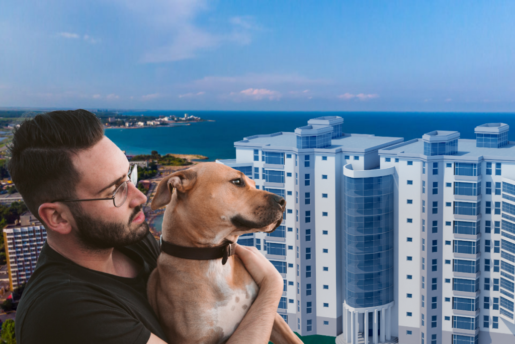Unde te poți caza cu animalul de companie la malul Mării Negre. Atenție, tariful perceput de hotelieri nu este deloc de neglijat
