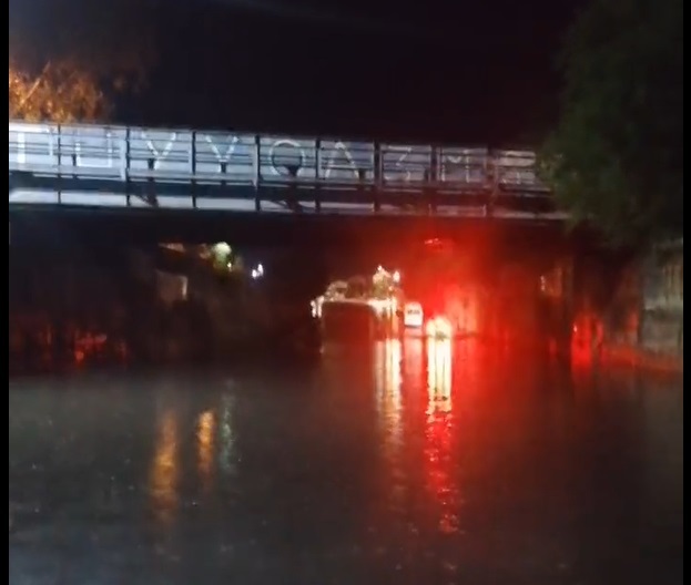 Urmările furtunii de marți seara. Copac căzut pe poarta spitalului la Brașov, mașini blocate în pasaj în Dâmbovița