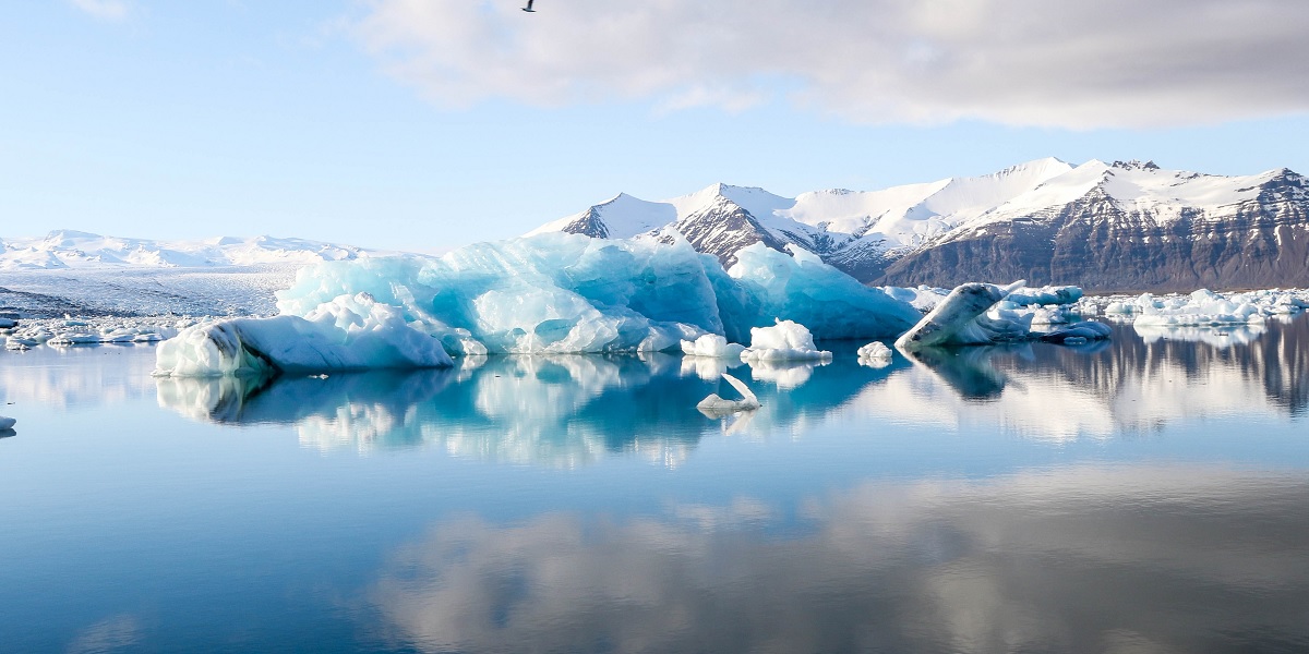 Arctica se încălzește de patru ori mai repede decât restul planetei. „Arctica este mai sensibilă la încălzirea globală”