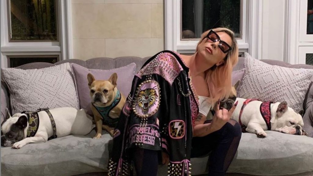 Pedeapsa pe care a primit-o cel de-al doilea răpitor al câinilor lui Lady Gaga. Hoțul s-ar fi putut îmbogăți de pe urma patrupezilor