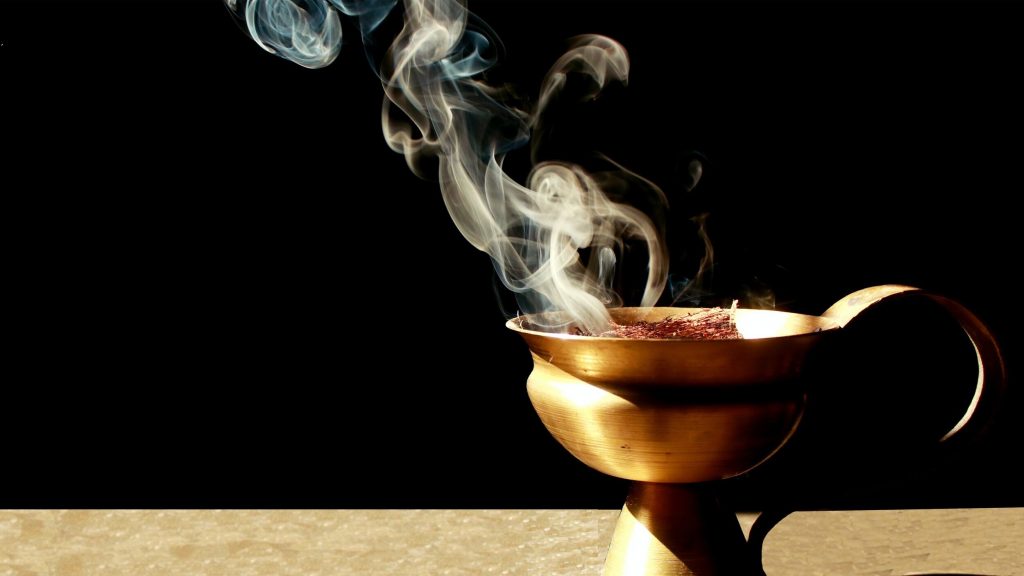Arde în casă frunzele acestei plante. Nu vei mai avea probleme cu mirosurile