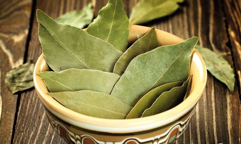 Arde in casa frunzele acestei plante