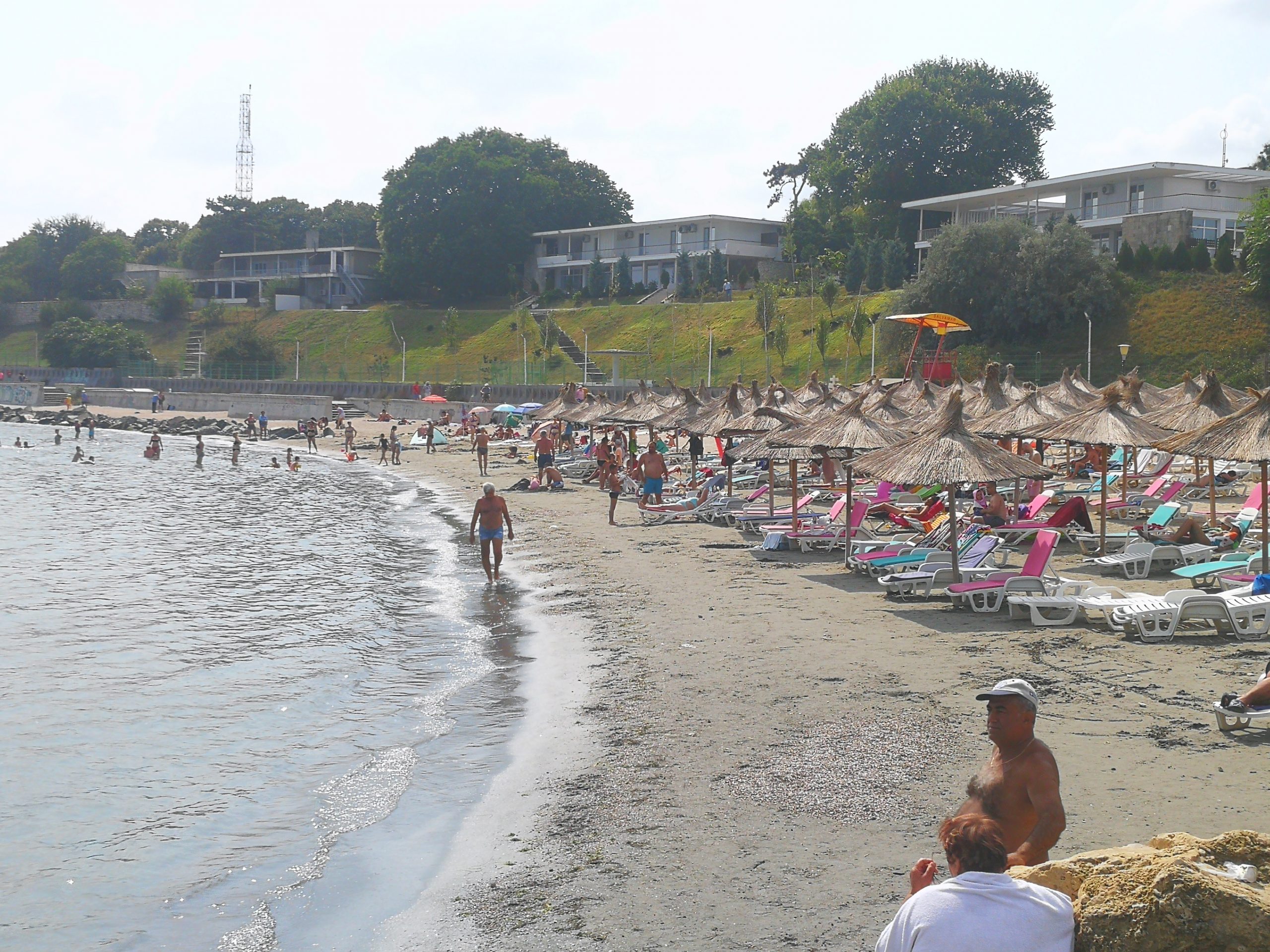 Galerie foto - Poza #2