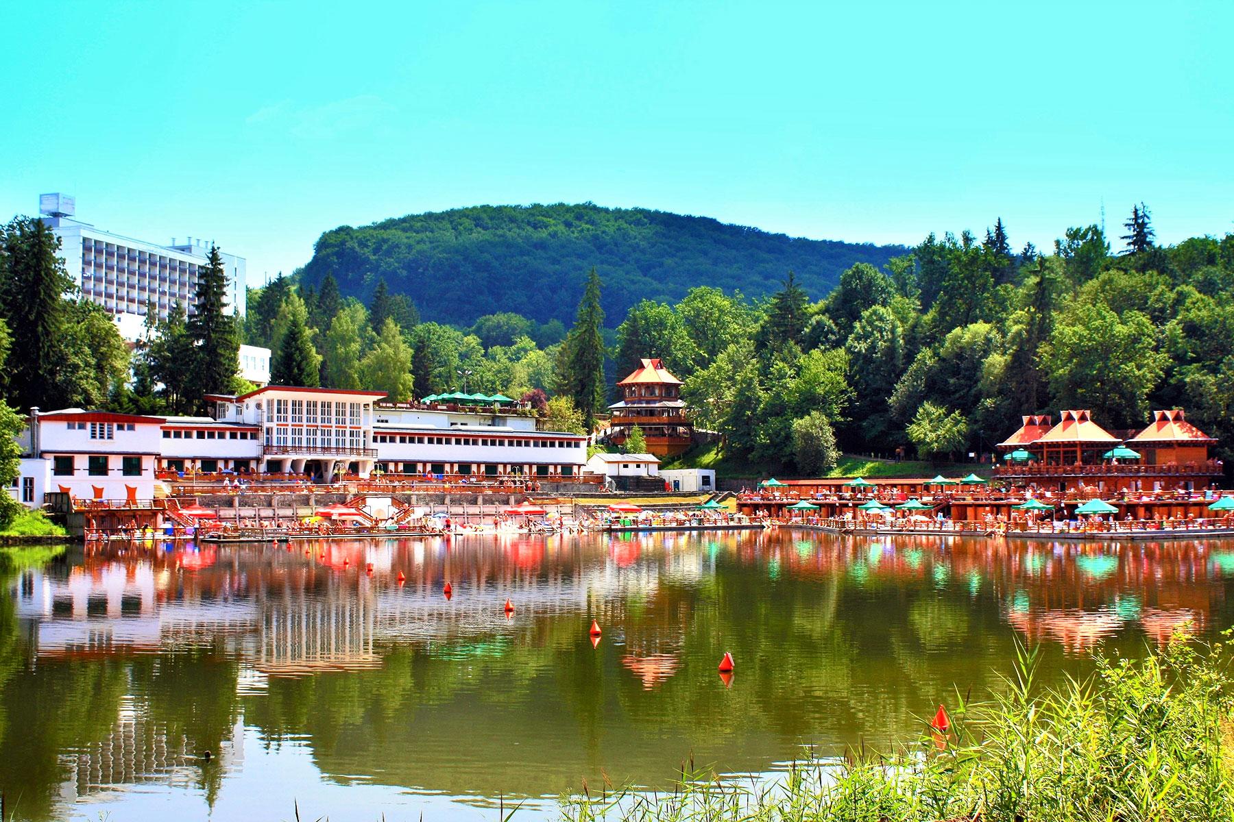 Galerie foto - Poza #1