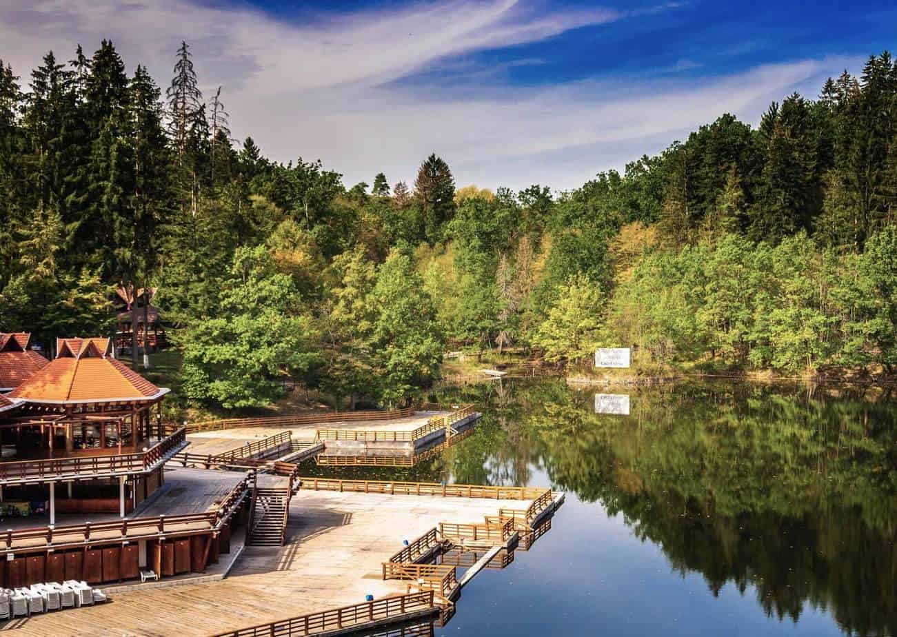 Galerie foto - Poza #3