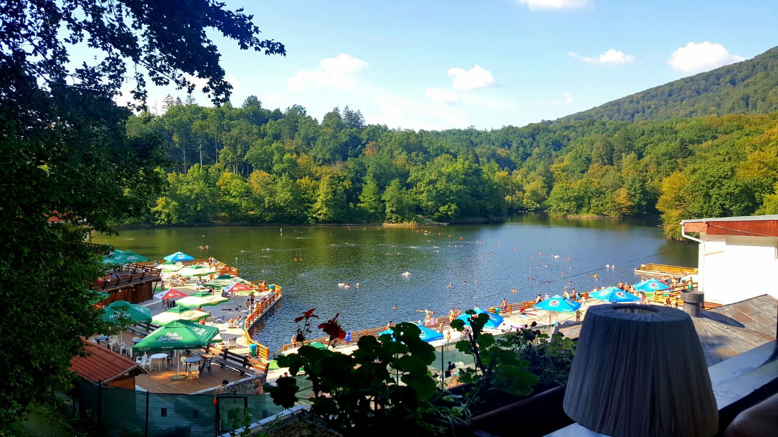 Galerie foto - Poza #2