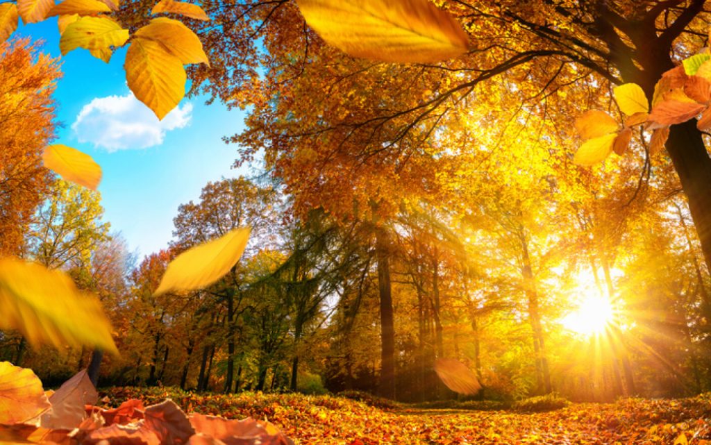 Vremea se schimbă radical în România. Anunțul făcut de meteorologi, sunt fluctuații mari