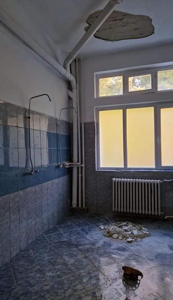Galerie foto - Poza #1