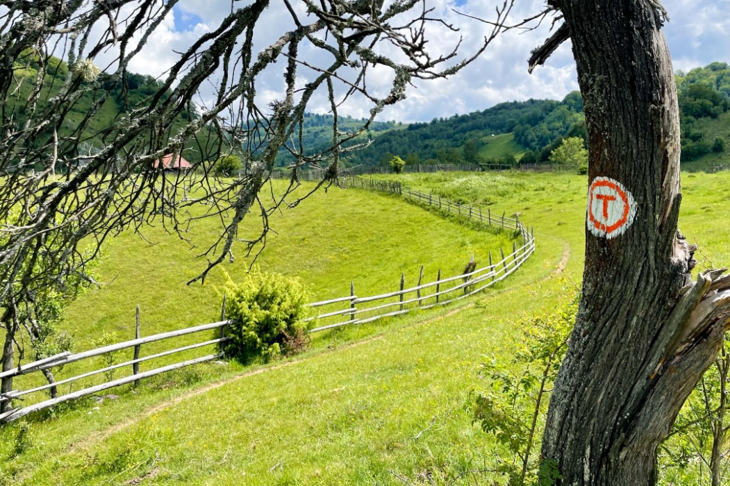 Pe unde trece Via Transilvanica
