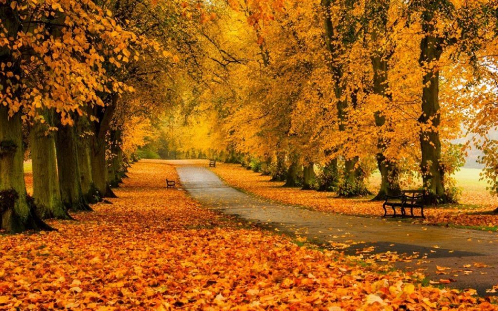 Prognoza meteo zilnică, duminică 30 octombrie. Temperaturi ridicate pentru finalul lui octombrie