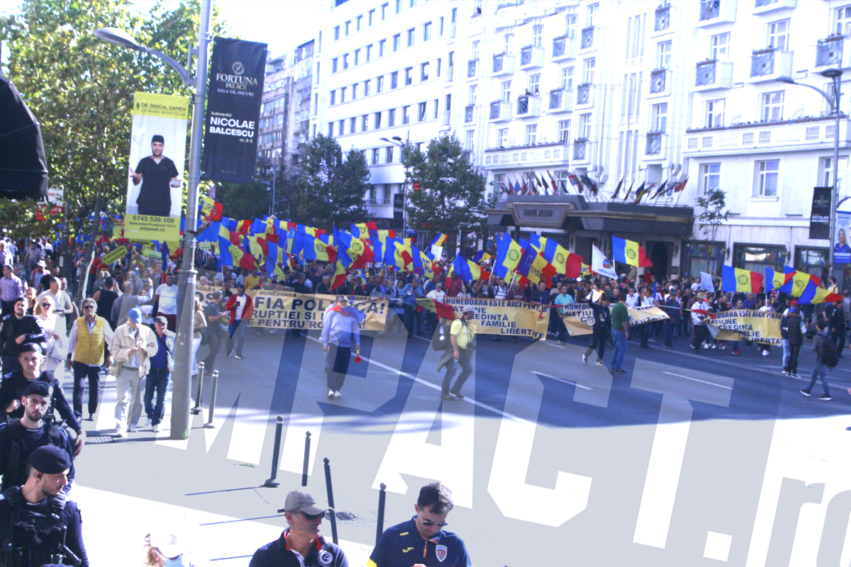 Galerie foto - Poza #2