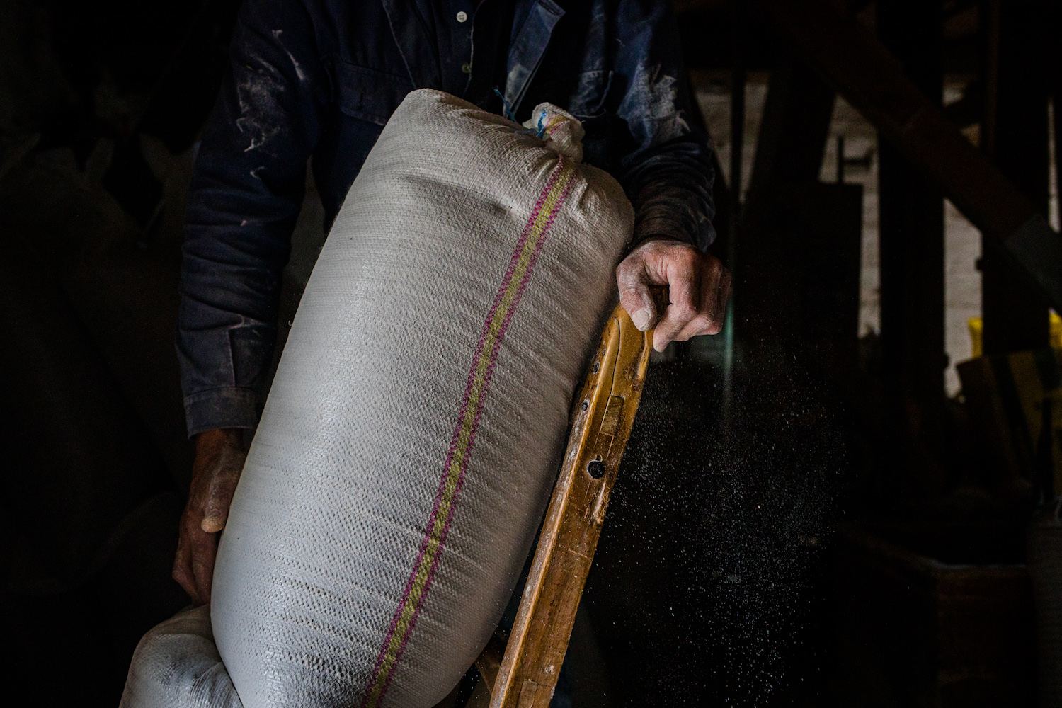 Detaliul rusinos din trecutul lui Niculae Badalau