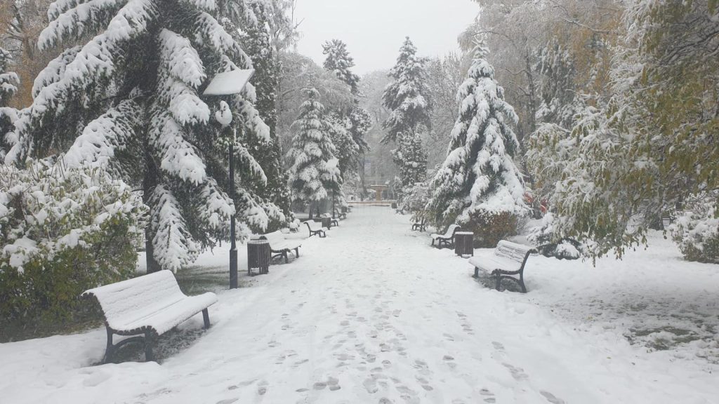 Județul din România unde zăpada a început să rupă copacii. S-a lansat avertizare oficială