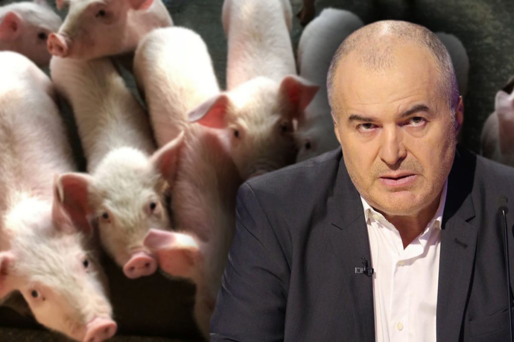 Motivul pentru care Florin Călinescu s-a apucat să crească porci. Vedeta TV are o afacere serioasă