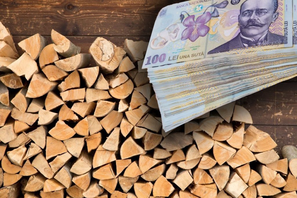 Prețul la lemnul de foc, plafonat. Cât costă un metru cub acum