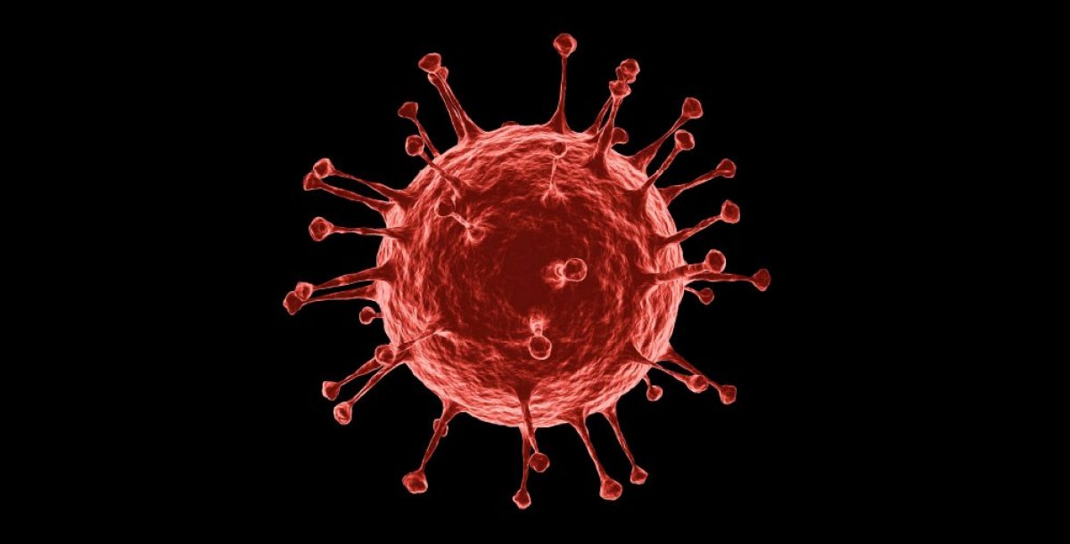 Un virus vechi de aproape 50.000 de ani a fost readus la viata