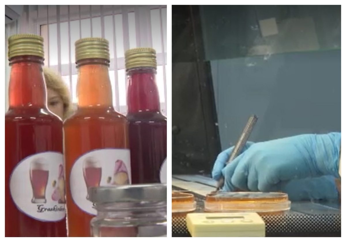 Hrana viitorului, produsa intr-un laborator din Galati