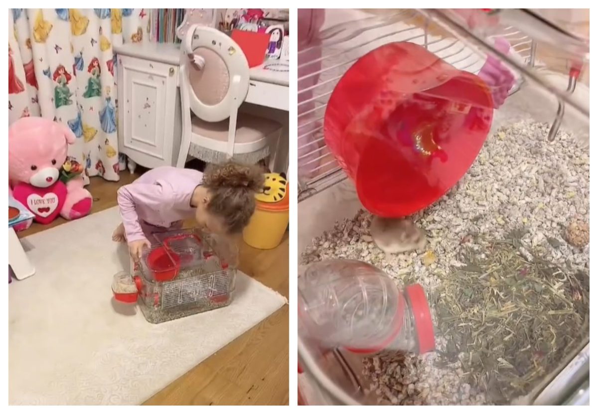 Mirela Vaida, soc imens cand a ajuns acasa. Cu ce se jucau copiii sai  