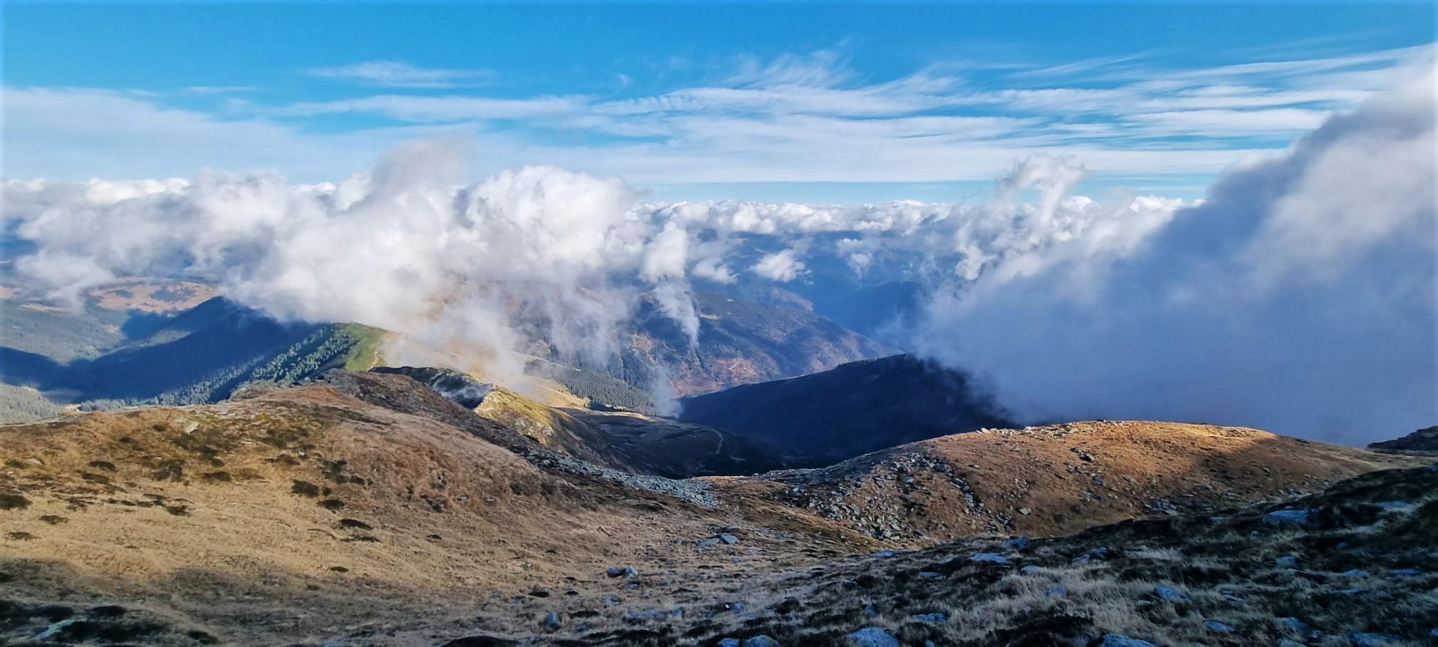 Galerie foto - Poza #3