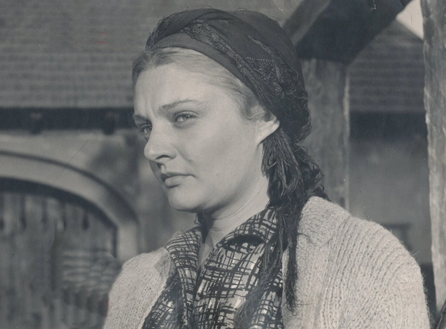 Galerie foto - Poza #2