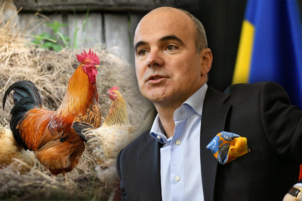Ipostaza bizară în care a fost surprins Rareș Bogdan. Motivul pentru care europarlamentarul s-a apucat de crescut găini