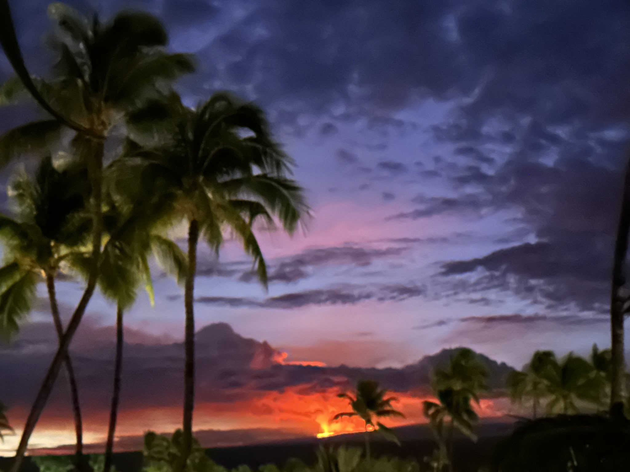 Galerie foto - Poza #2