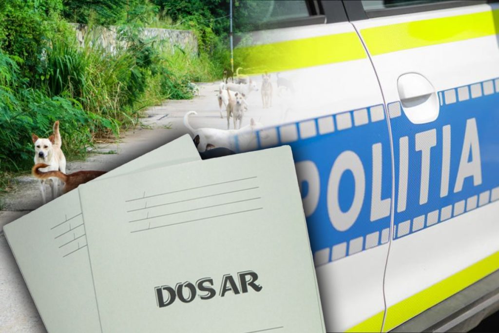 Ce arată datele necropsiei în cazul femeii ucise de câini în zona Lacul Morii. Care au fost cauzele decesului