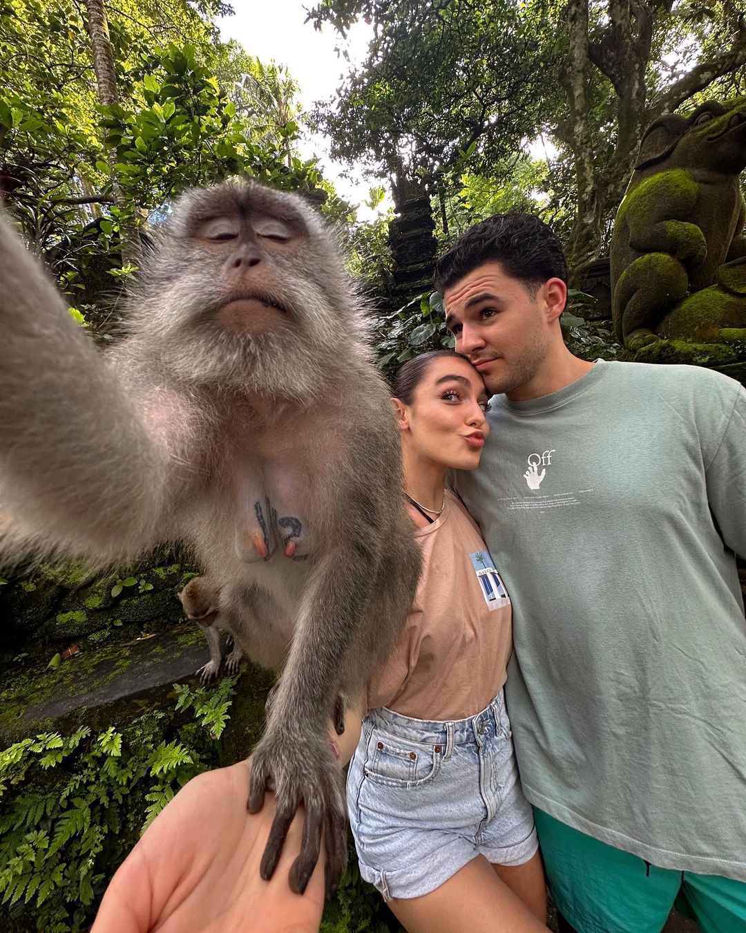 Galerie foto - Poza #3