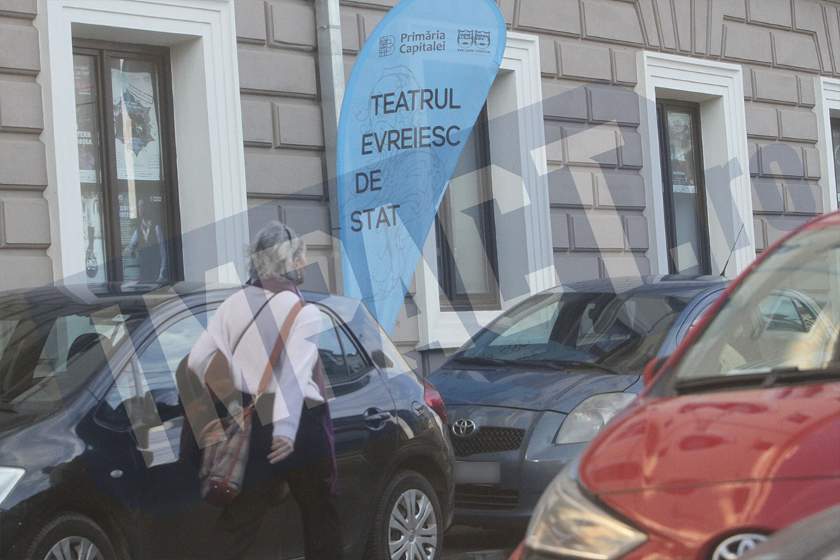 Galerie foto - Poza #3